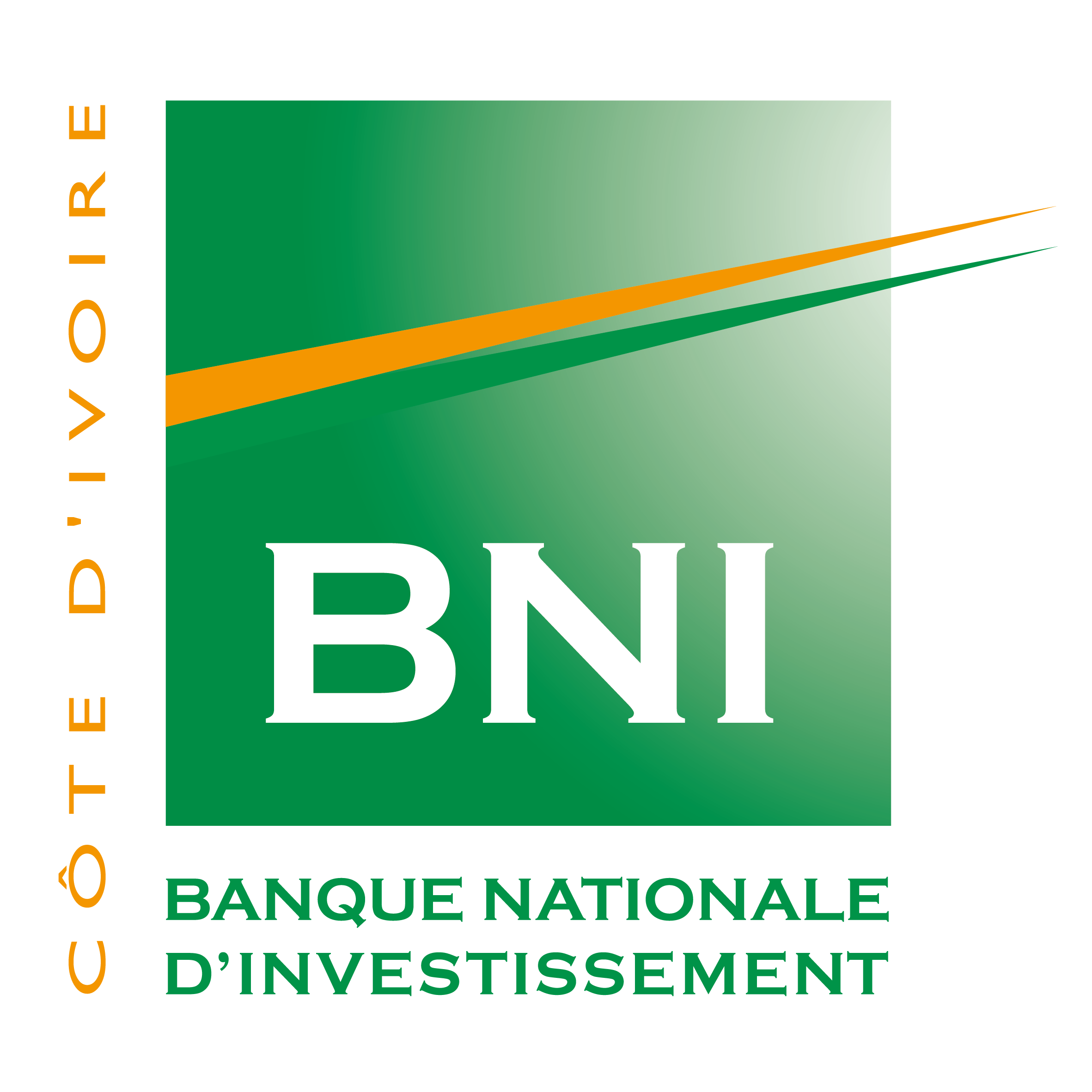 BNI — Banque Nationale d'Investissement